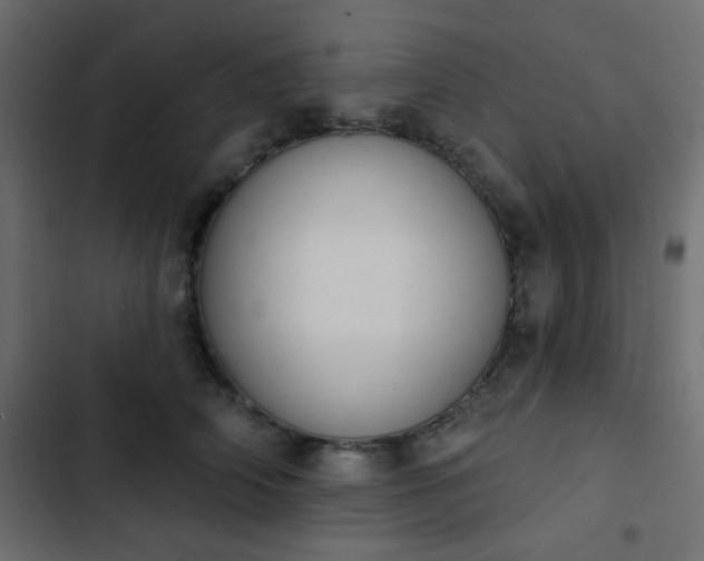 X0000103930706200809261704