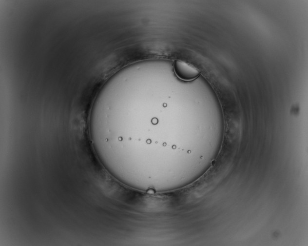X0000103930707200809261703