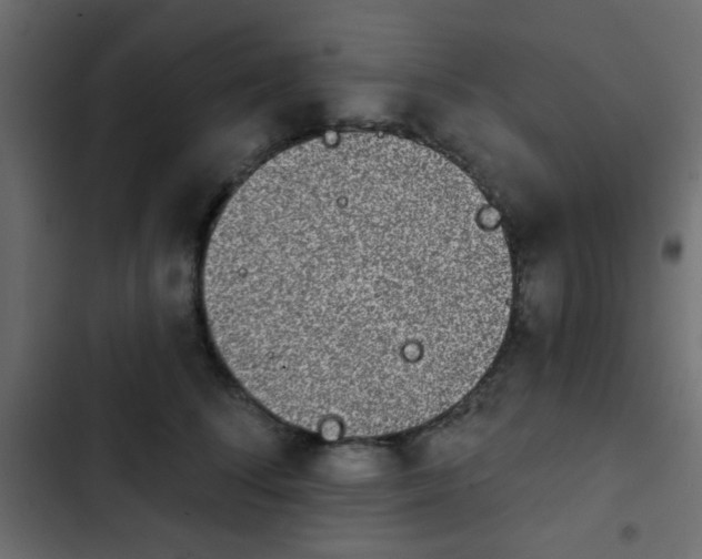 X0000103930708200809261703