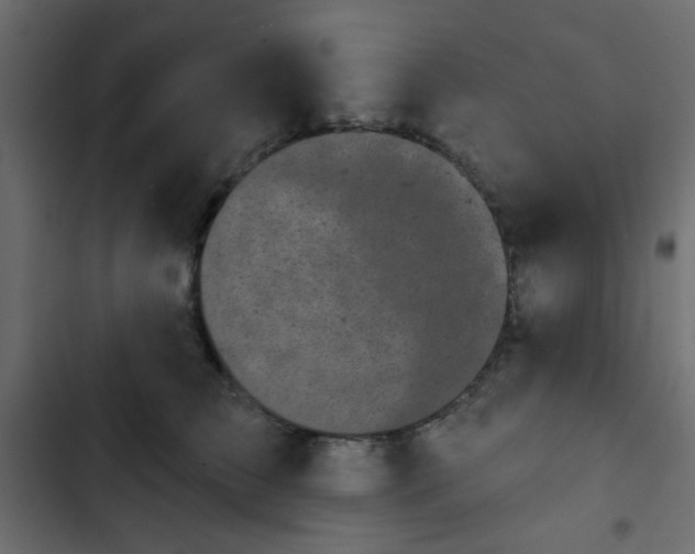 X0000103930709200809261703