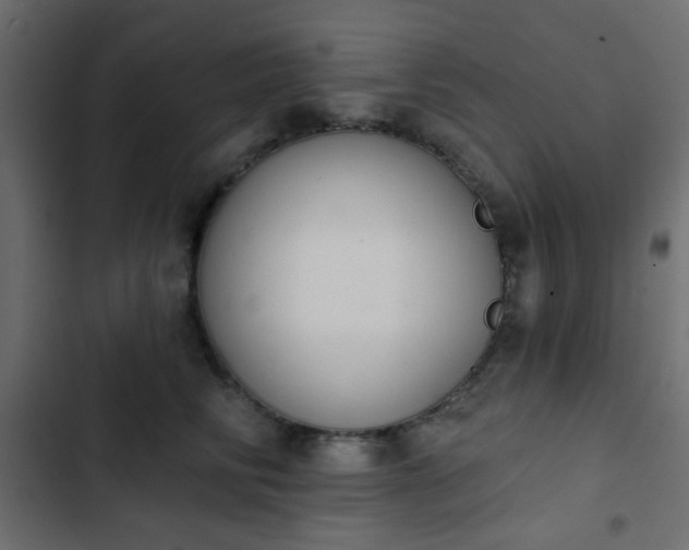 X0000103930710200809261703