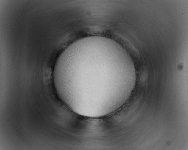 X0000103930711200809261703