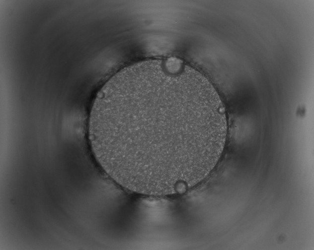 X0000103930712200809261703