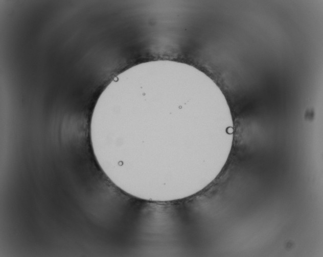 X0000103930713200809261703