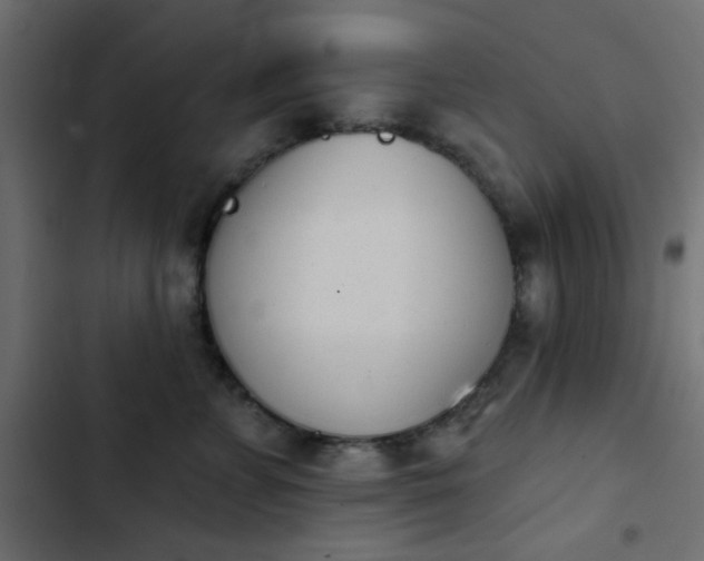 X0000103930715200809261703