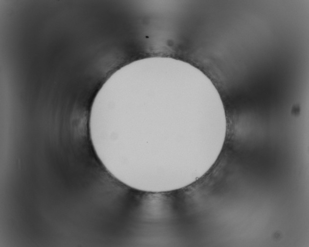 X0000103930717200809261703