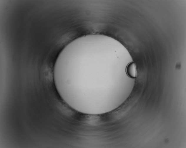 X0000103930719200809261703
