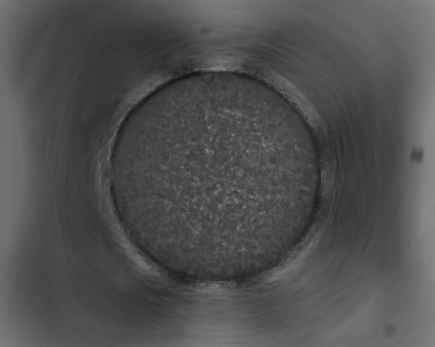 X0000103930721200809261703