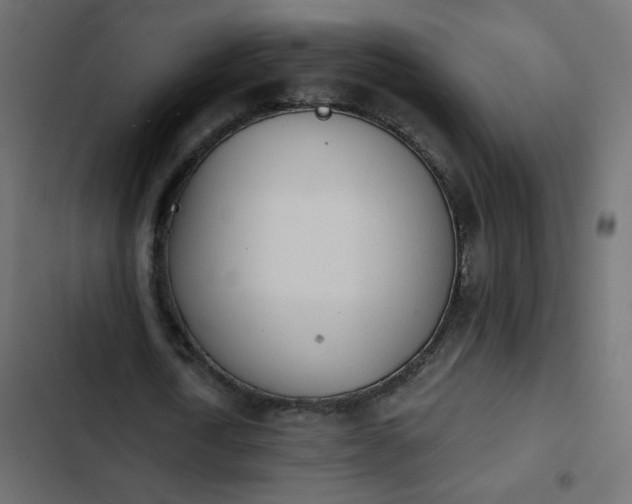 X0000103930722200809261703