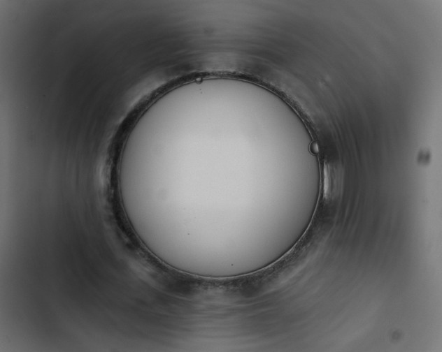 X0000103930723200809261703