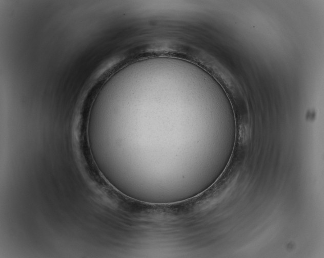 X0000103930724200809261703