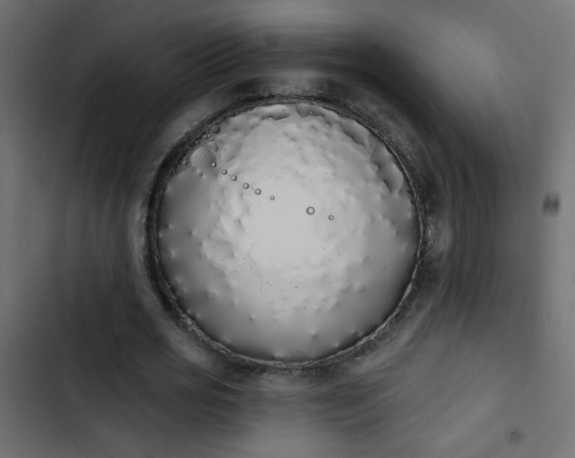 X0000103930725200809261703