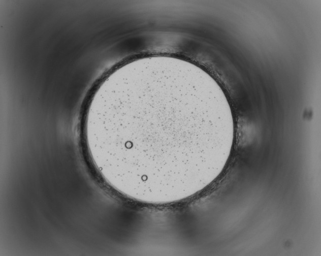X0000103930726200809261703