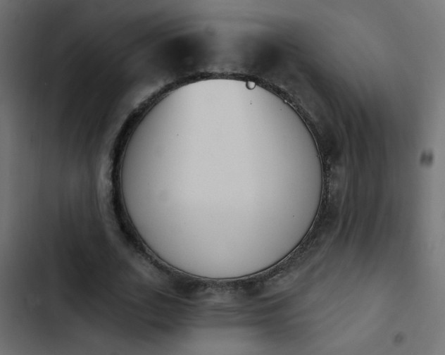 X0000103930727200809261703