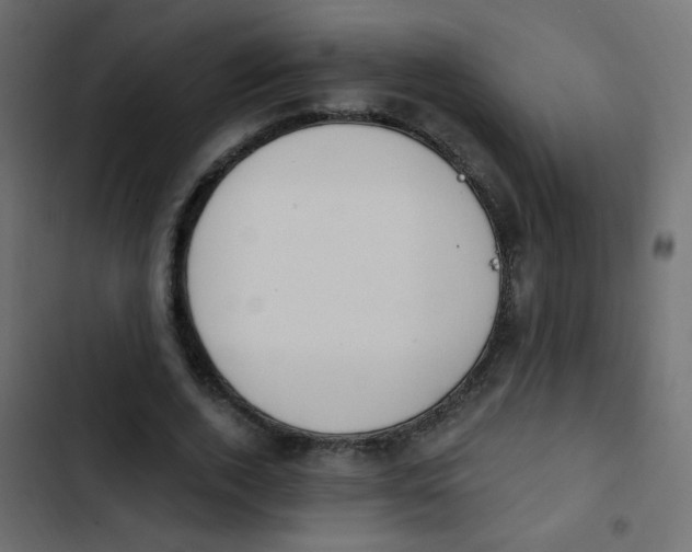 X0000103930728200809261703