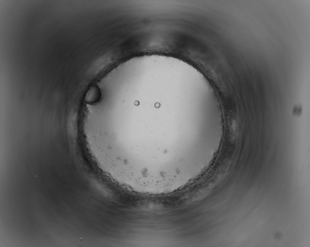X0000103930729200809261703