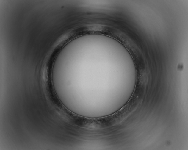 X0000103930731200809261703