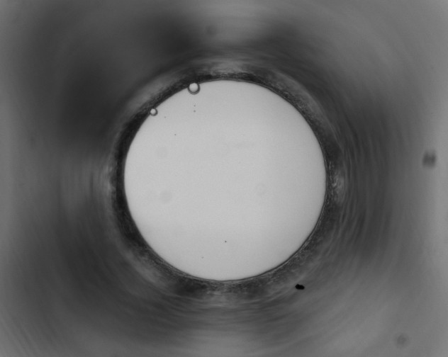 X0000103930732200809261703