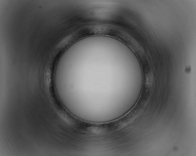 X0000103930733200809261703