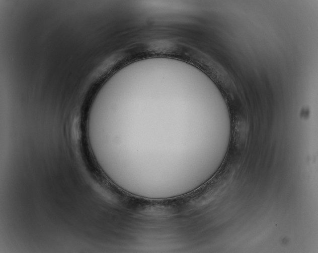 X0000103930734200809261703