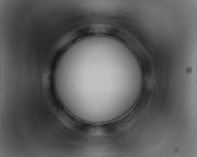 X0000103930735200809261703