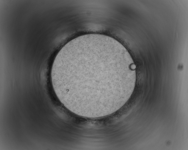 X0000103930736200809261703
