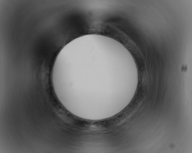 X0000103930737200809261703