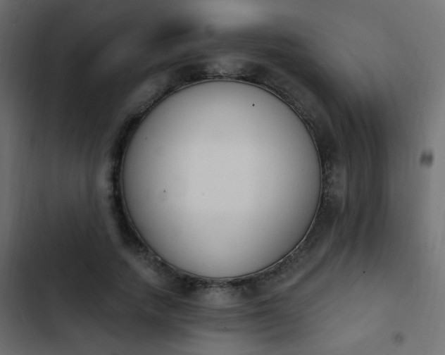 X0000103930738200809261703