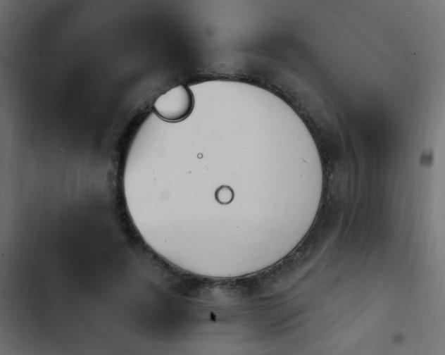 X0000103930739200809261703