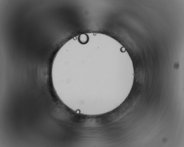 X0000103930740200809261703