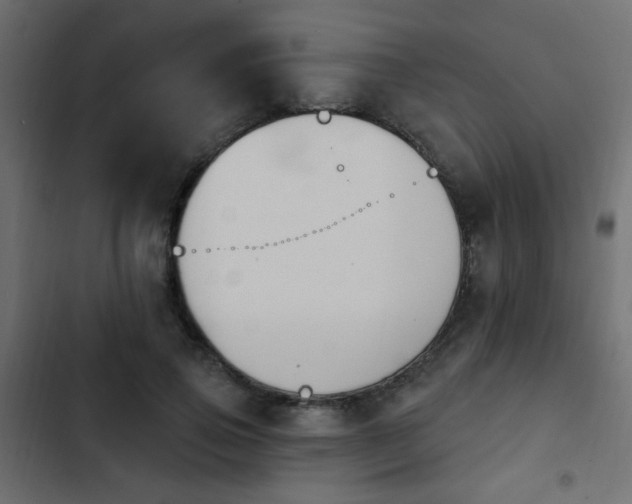 X0000103930741200809261703