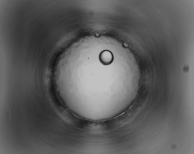 X0000103930742200809261703