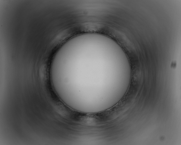 X0000103930743200809261703