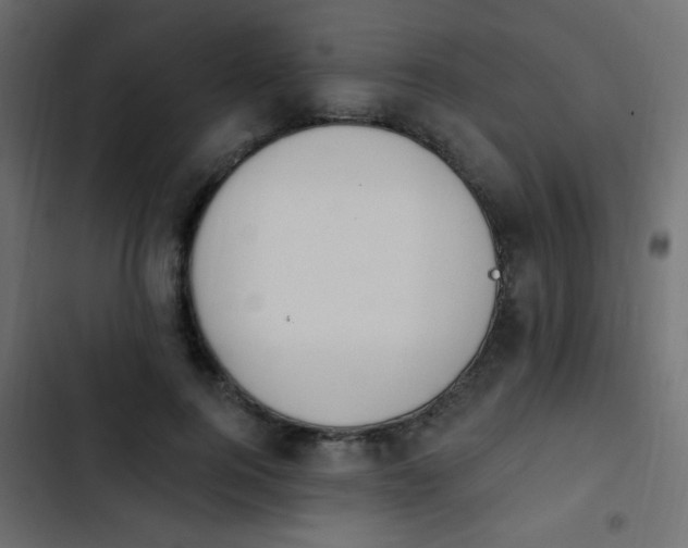 X0000103930744200809261703