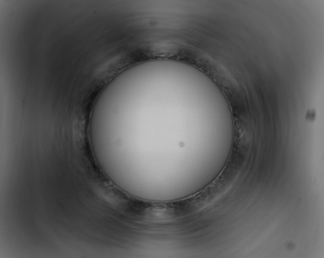 X0000103930745200809261703