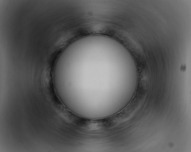 X0000103930746200809261703