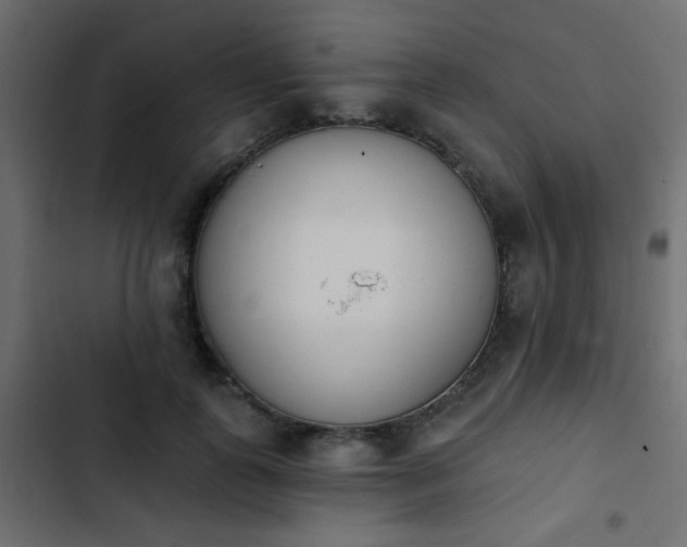X0000103930747200809261703