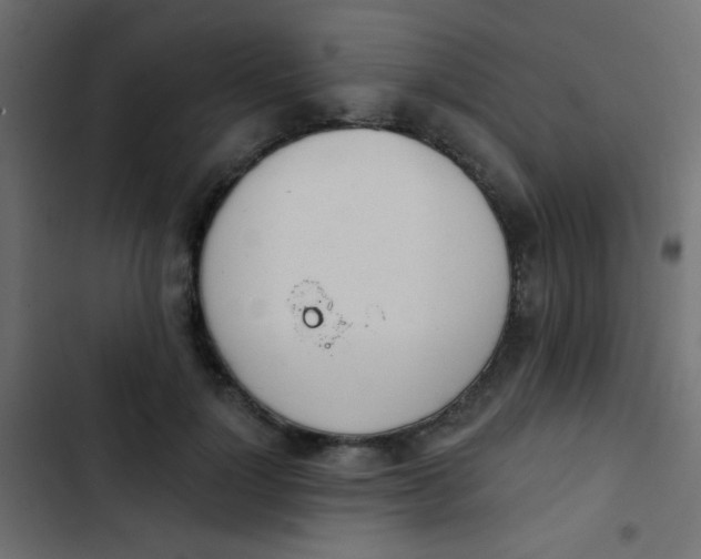 X0000103930748200809261703