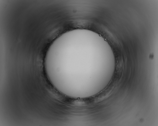 X0000103930749200809261703