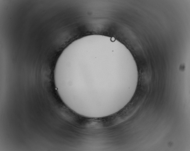 X0000103930750200809261703