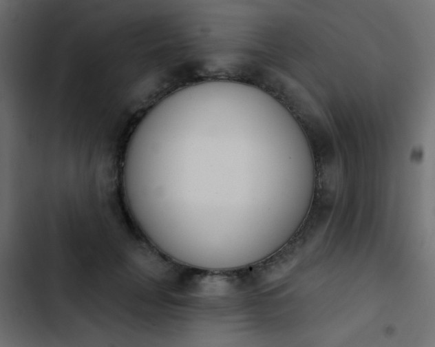 X0000103930751200809261703