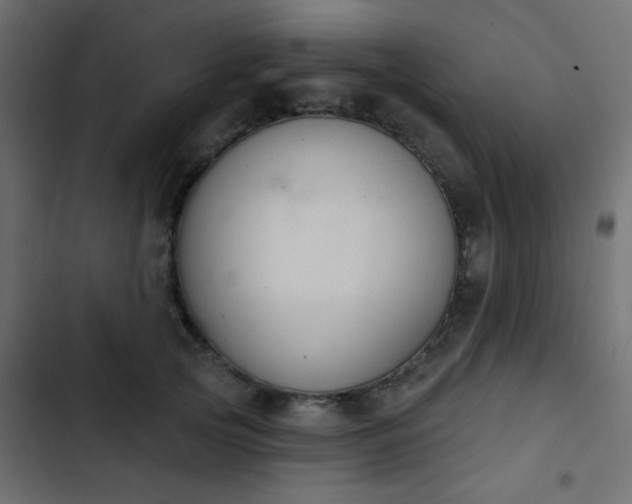 X0000103930753200809261703