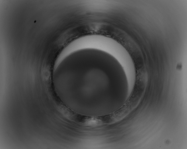 X0000103930754200809261703
