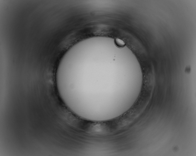 X0000103930755200809261703
