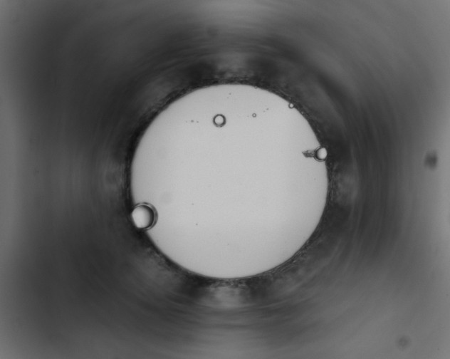 X0000103930756200809261703