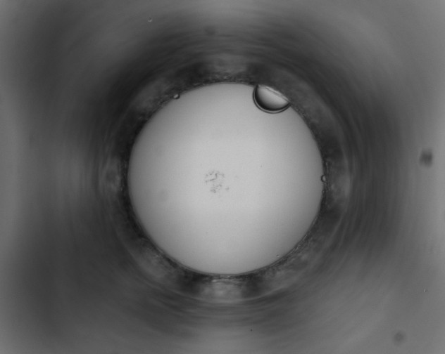 X0000103930758200809261703