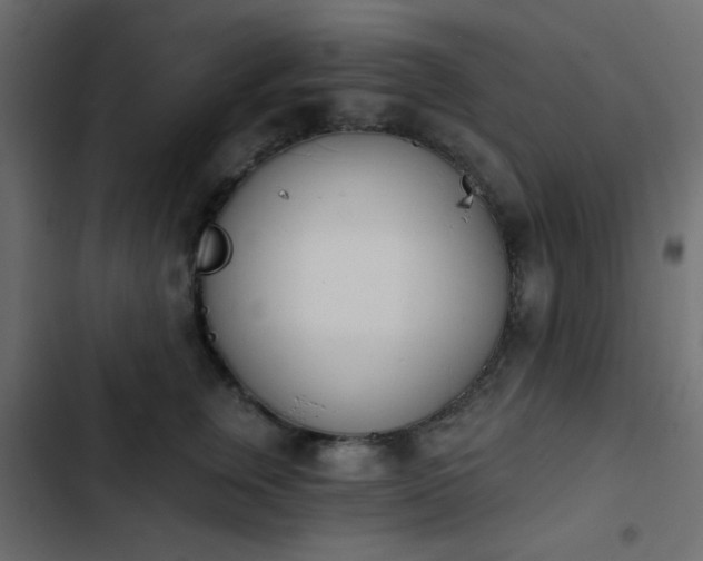X0000103930759200809261703