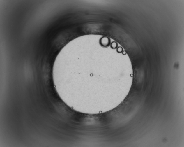 X0000103930760200809261703