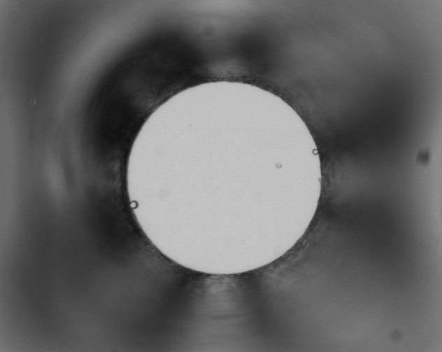 X0000103930762200809261703