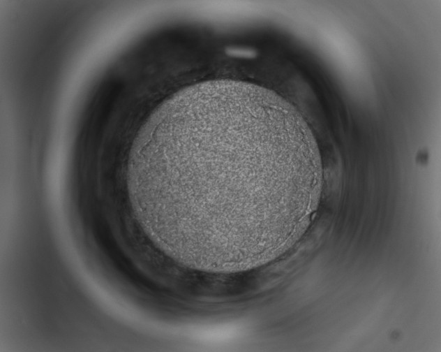 X0000103930765200809261703